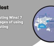 VPS Hosting Wins! 7 Advantages of using VPS Hosting