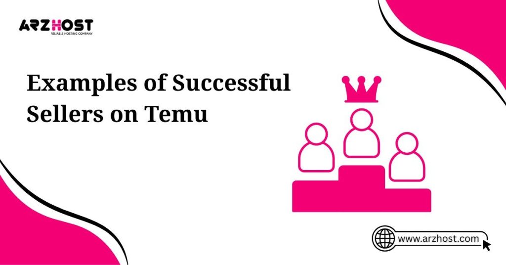examples of succesfful sellers on temu