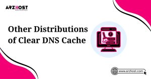 other distribution of clear dns cache