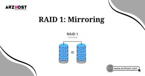 raid 1 mirroring