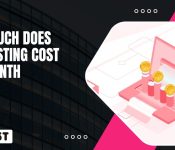 How much does VPS Hosting cost per Month