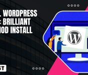 Install WordPress On VPS Brilliant 3 Method Install Guide