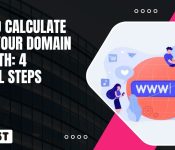 How To Calculate What Your Domain Is Worth 4 Crucial Steps