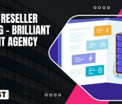 VPS vs Reseller Hosting The Technical Difference (2)