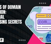 Secrets Of Domain Valuation Essential Appraising Secrets